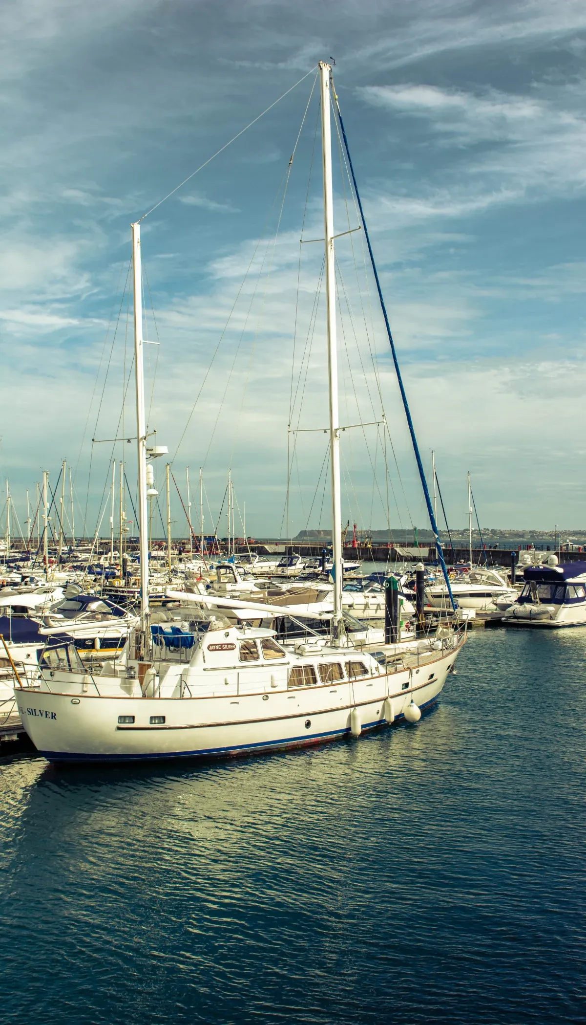 Sailing yachts moored in a marina